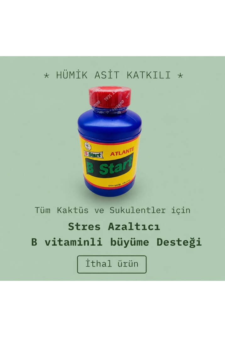 B START - B1 ve Hümik asit katkılı köklendirici ve stres Azaltıcı kaktüs sıvı kaktüs vitamini - 1