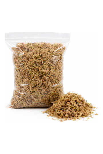 Spugnum Moss - 100% Doğal ve Saf Köklere Hava Aldıran Yosun - 1