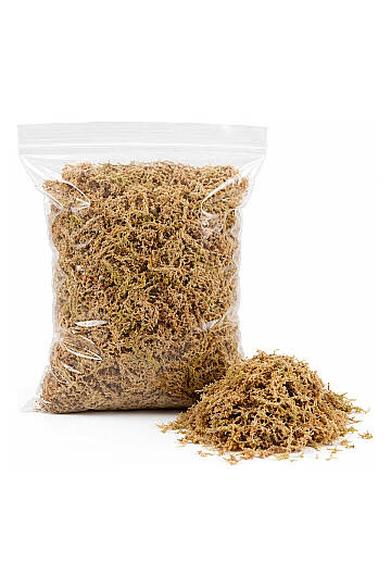 Spugnum Moss - 100% Doğal ve Saf Köklere Hava Aldıran Yosun - 3