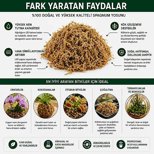 Spugnum Moss - 100% Doğal ve saf yosun