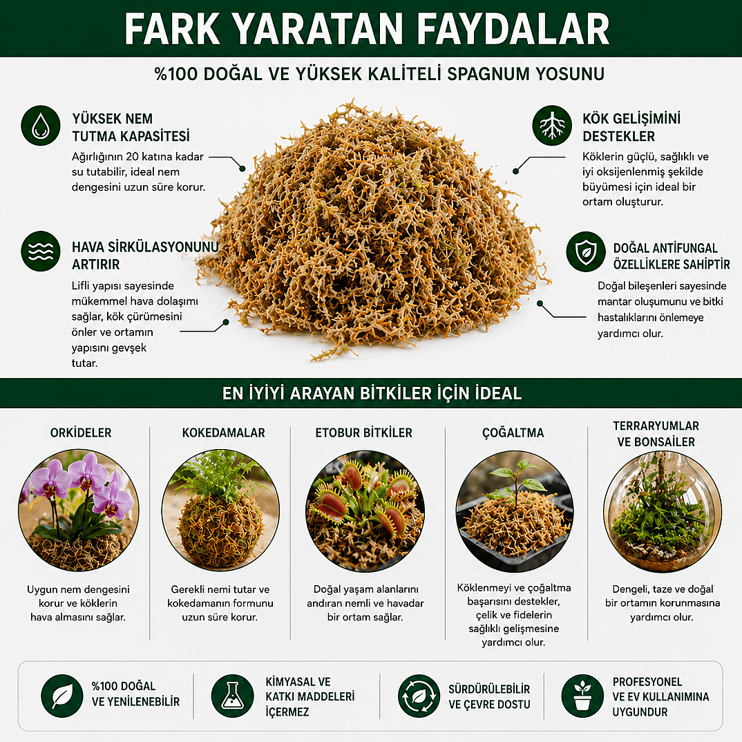 Spugnum Moss - 100% Doğal ve saf yosun