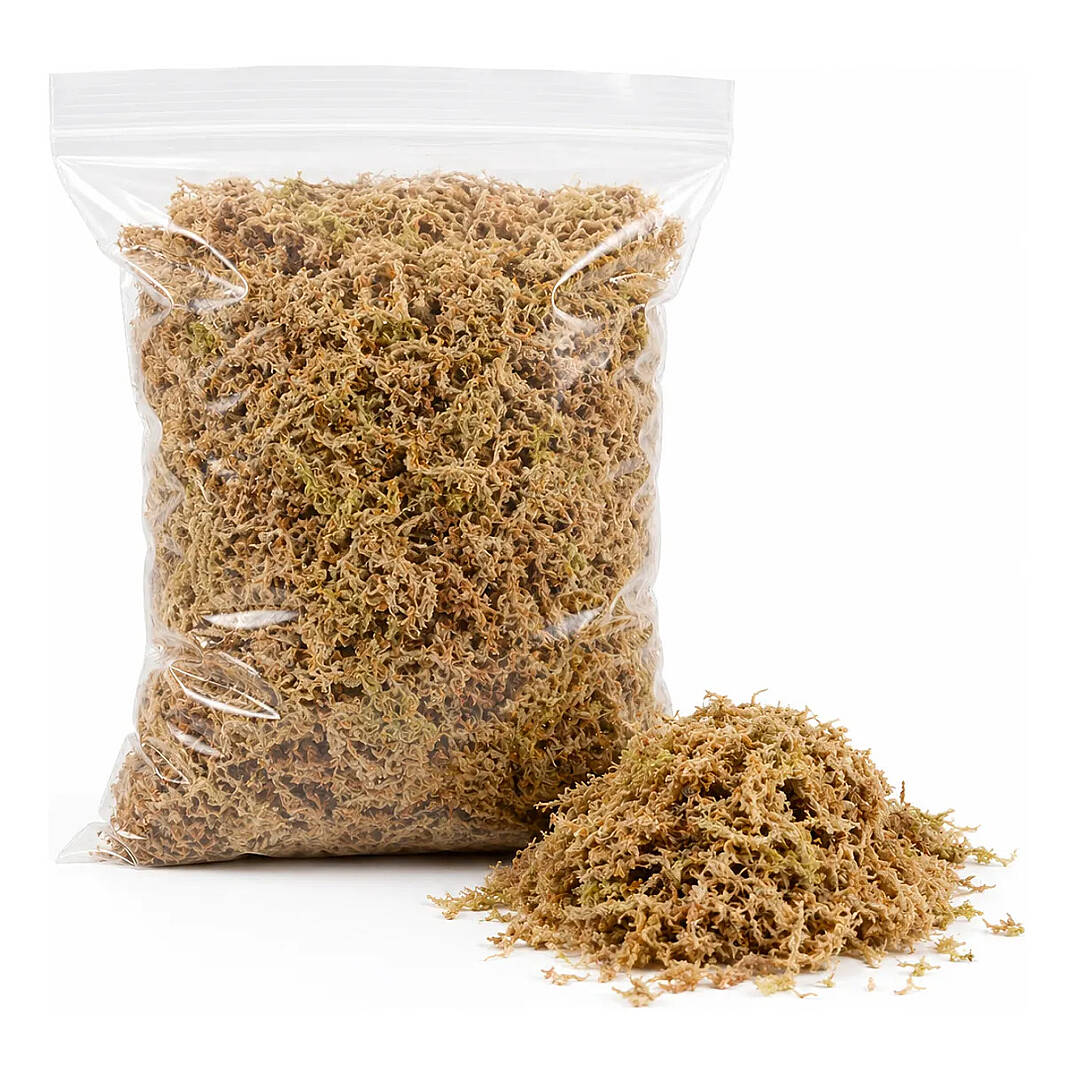 Spugnum Moss - 100% Doğal ve saf yosun - 2